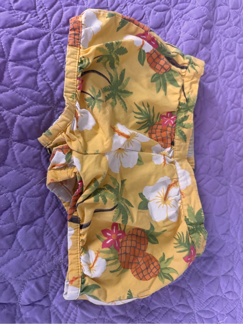 Gymboree Yellow Pineapple & Floral Shorts